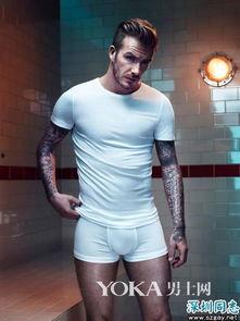 男明星的内裤广告,揭秘男明星内裤广告背后的时尚秘密